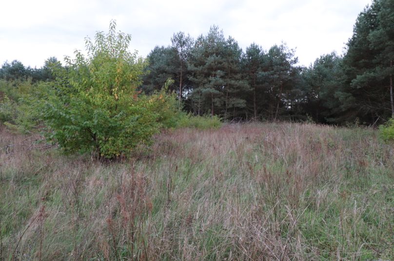 Działka sprzedaż Kłodawa, Mironice, 2070 m<sup>2</sup>